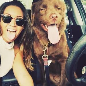 Meet your Posher, Tracey